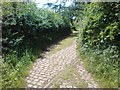 Track to Railway Fields Nature Reserve