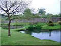 Ponds near Ugbrooke House