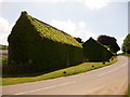 Dewlish: buildings of Chebbard Farm