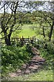 Footbridge over the River Dove (1)