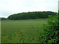 Farmland near Fimber Roundabout