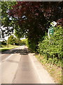 ST9009 : Pimperne: signpost on the A354 by Chris Downer