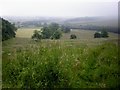 Misty view from Fizgig Hill!