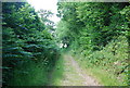 Bridleway towards Holywych House