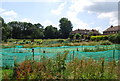 Cowden Allotments (2)