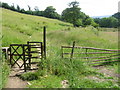 Footpath from Haworth