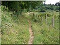 Bridleway near Bapton