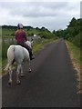 Country lane parallel to the A75 near Dumfries