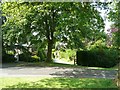 A shady corner, Bolton by Bowland