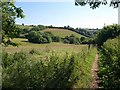 To the Avon valley from Diptford