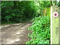 North Downs Way on Pilgrims Way in Charing Hill