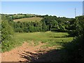 Avon valley below Diptford (2)