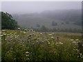 Wolds view,  limited by the mist!