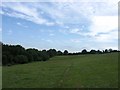 Field next to the Railway