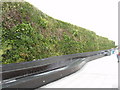 Green wall at Westfield