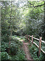 Footpath to Fowley Lane