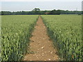 Footpath to Bagshot Cottage