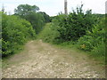 Track near Hurst Wood