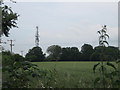 Communication Tower near Woodville Farm