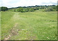 ST2614 : Grassland, near Blindmoor by Roger Cornfoot