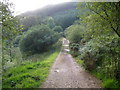 The old A886 near to Stronafian, Glendaruel.