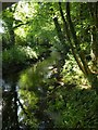 River Avon from Horsebrook Bridge