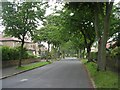 Woodhouse Lane - viewed from Armitage Avenue