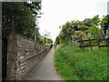 Footpath from Hadfield Station