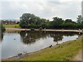 Stamford Park Fishing Lake