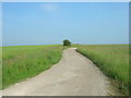 Track to  Potter Brompton Farm