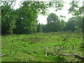 Rough Pasture, High Mill Farm