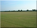 Field North of the A64