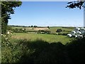 Field at Ayleston Cross