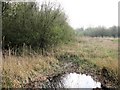 Looking  South East from the New Hide, Weston Turville Reservoir