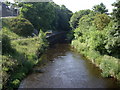 Upstream Cowie Water