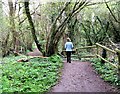 Path through Nature Reserve, Weston Turville Reservoir