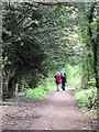 Track to Halton Lane, Weston Turville Reservoir