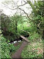 Footbridge on path towards Worlds End, Weston Turville Reservoir