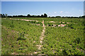 Footpath to Bradfield St Clare