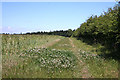 Footpath to Little Whelnetham