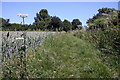 Footpath to Little Whelnetham