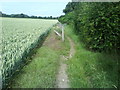 Lea Valley Footpath