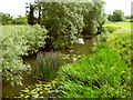 The River Isle at Hambridge