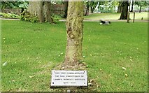 J2664 : Tree plaque, Lisburn by Albert Bridge