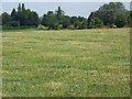 Footpath near Lacock