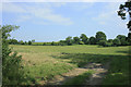 2009 : Pasture east of Kington Lane