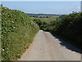 Lane from Coarsewell Cross