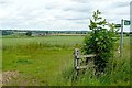 Towards Buston Farm