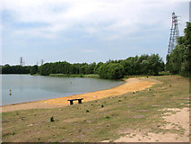 TG2507 : Whitlingham Little Broad - the beach by Evelyn Simak