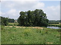 Riverside view looking towards Woodford